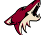 Season Preview: Arizona Coyotes